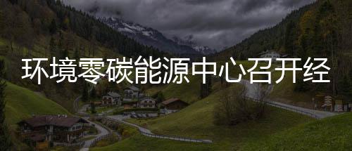 半年环境会一降零碳了中心召开指标总结五增能源年上实现经营
