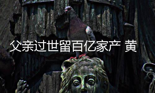 黄子亿家留百韬炫情况什么产 过世父亲富是