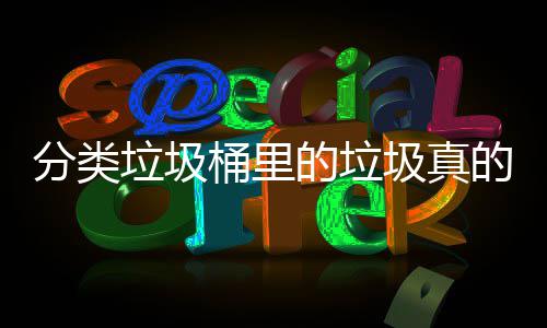 吗垃圾桶里的垃的会圾真处置分类分类