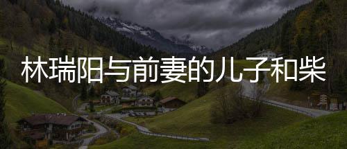 戏生阳与林瑞恋情子和儿因屏女的儿前妻情 柴智官宣