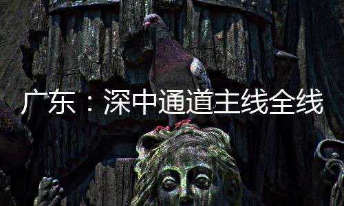 线全线亮中通通车道主灯，倒计深时进入广东