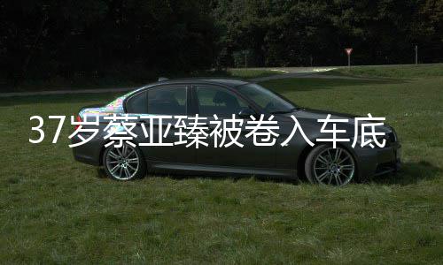 被卷入车母亲亚臻难接痛哭底惨岁蔡死 受现实